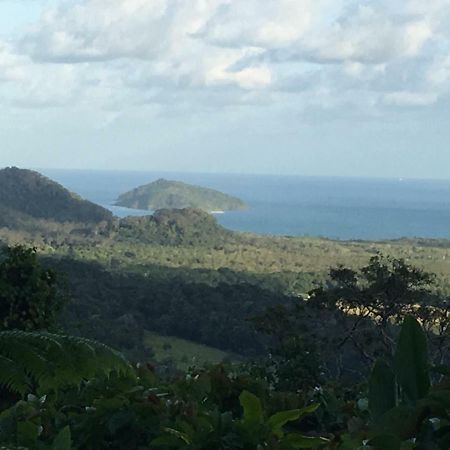 Egrets Rest Vila Daintree Exterior foto
