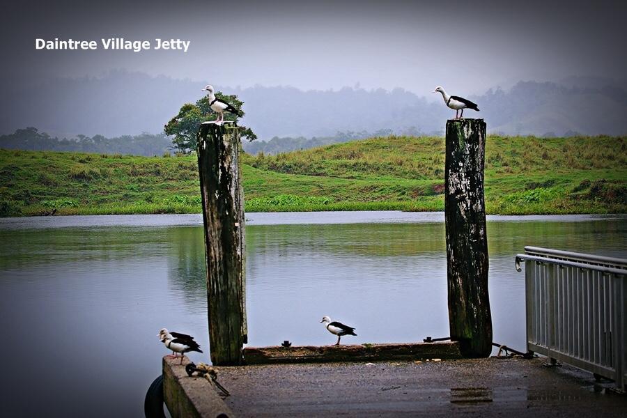 Egrets Rest Vila Daintree Exterior foto